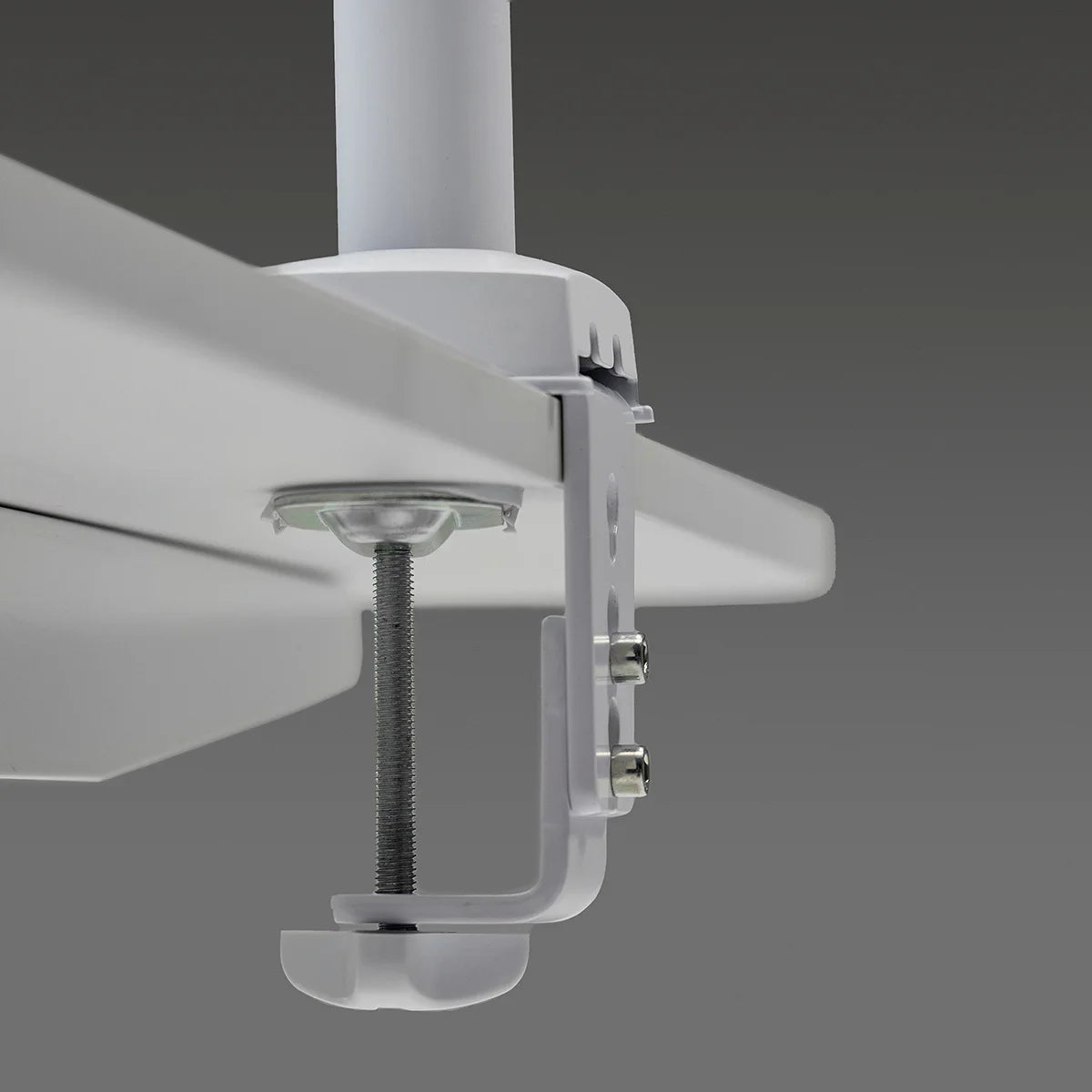 שואב אנכי 4Blanc Maestro חיבור שולחני